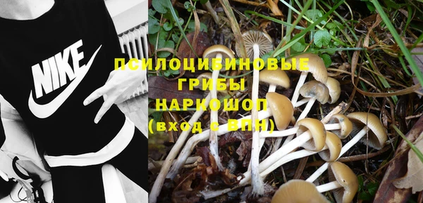 герыч Майский