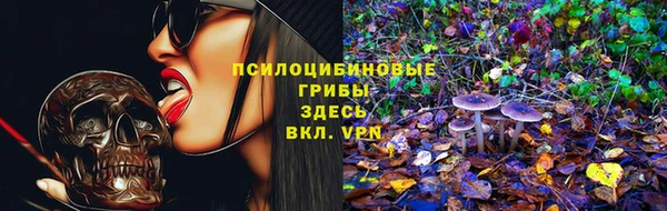 герыч Майский